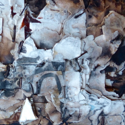collage-photos, silhouette de hibou parmi fragments de papier-Hélène Paré